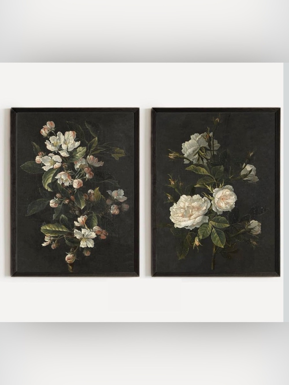 Botanical Framed Canvas Wall Art Print Set of 2 - Floral Wall Decor